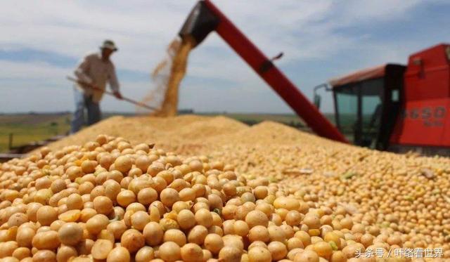 美國大豆出口大會(huì)閉幕，中國買家一顆沒買